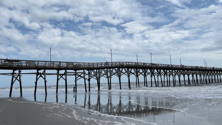 Ocean Crest Pier - Fishing, Wildlife, Attractions & More